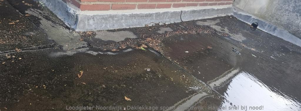 Daklekkage Spoed Noordwijk