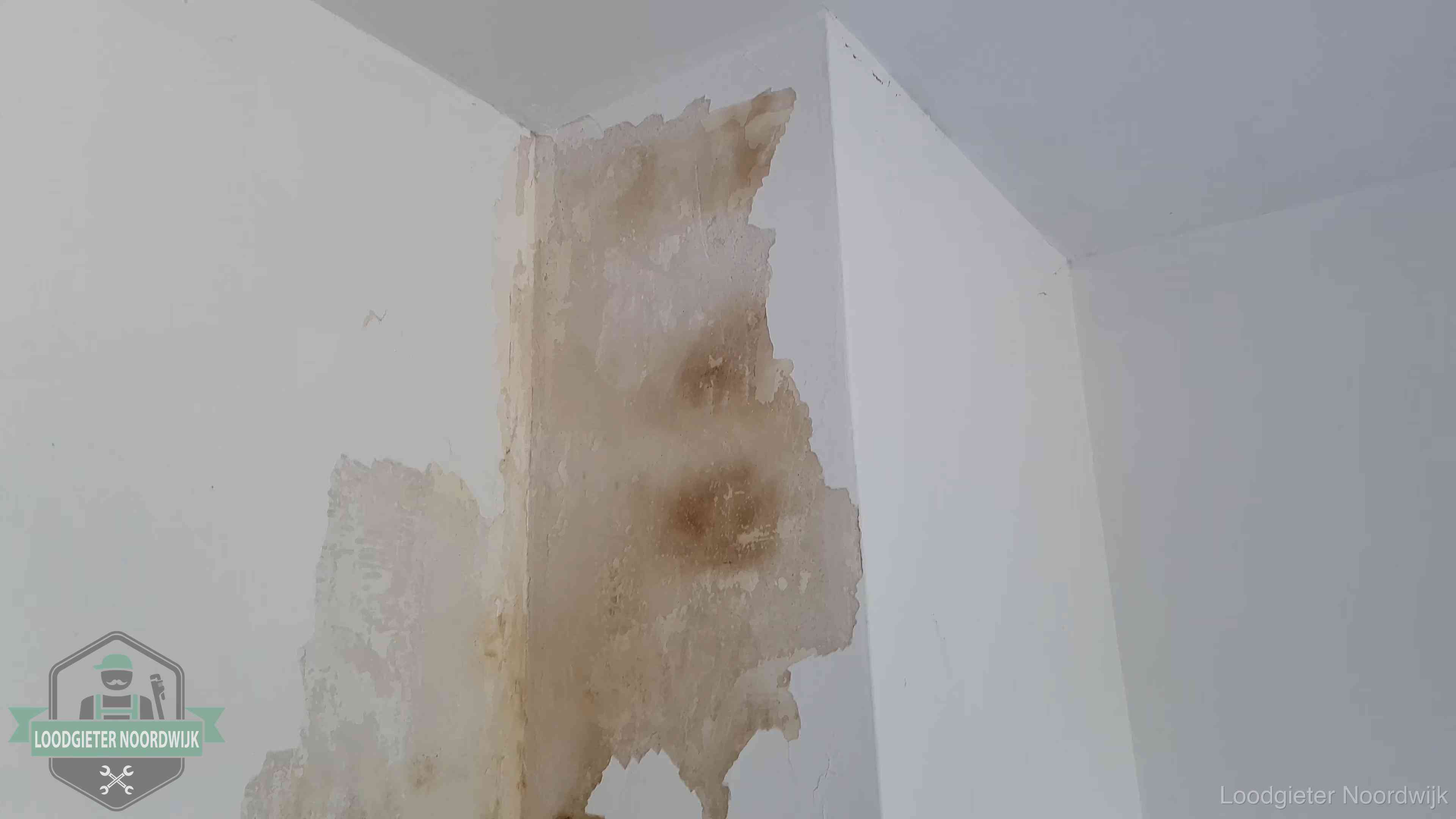 Daklekkage herkennen in Noordwijk Bruine vochtkringen en afbladderend stucwerk op een binnenmuur in Noordwijk, een eerste teken van daklekkage