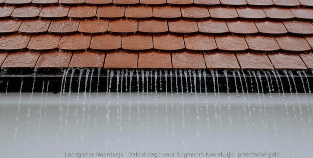 Daklekkage Voor Beginners Noordwijk