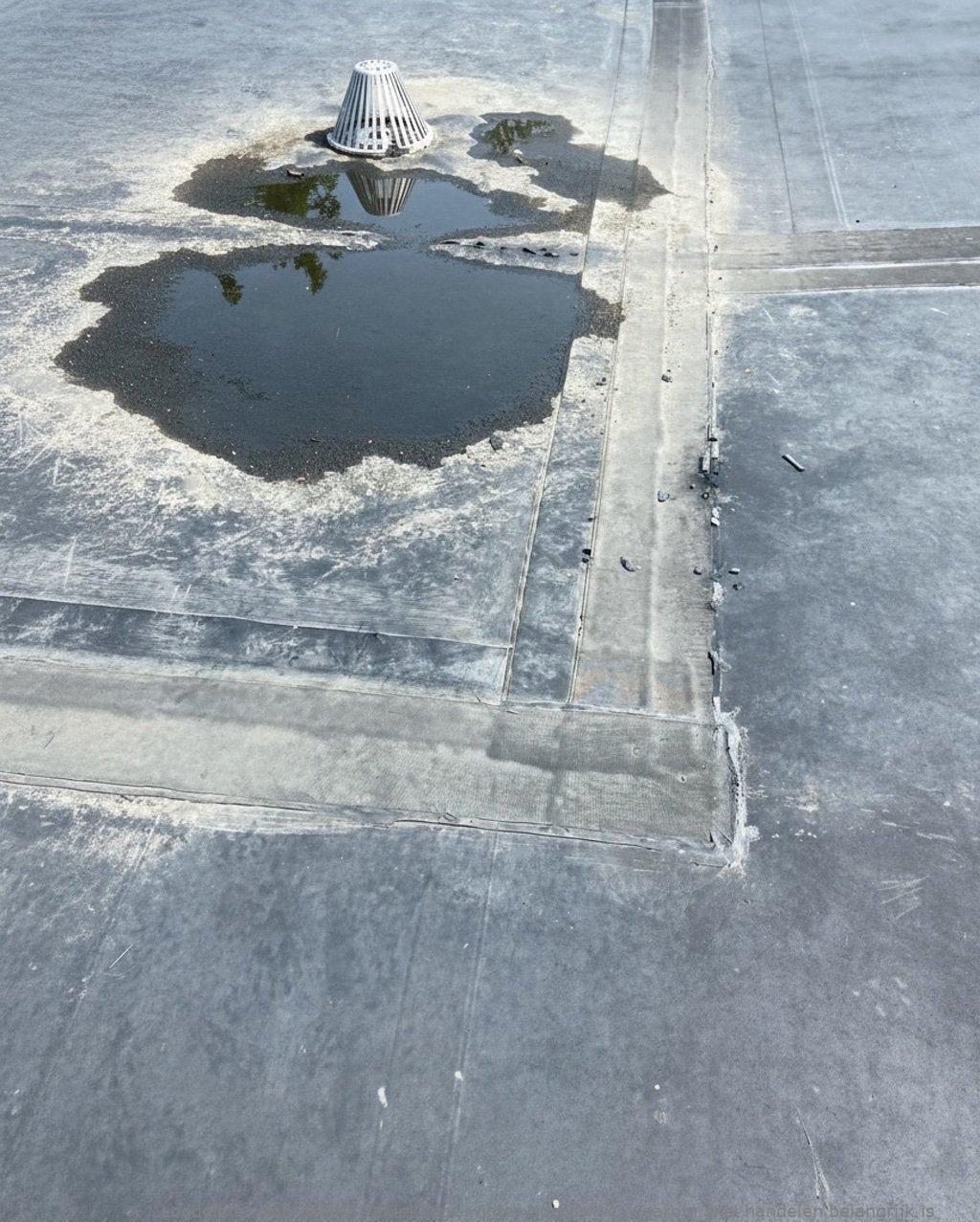Daklekkage Winter Noordwijk