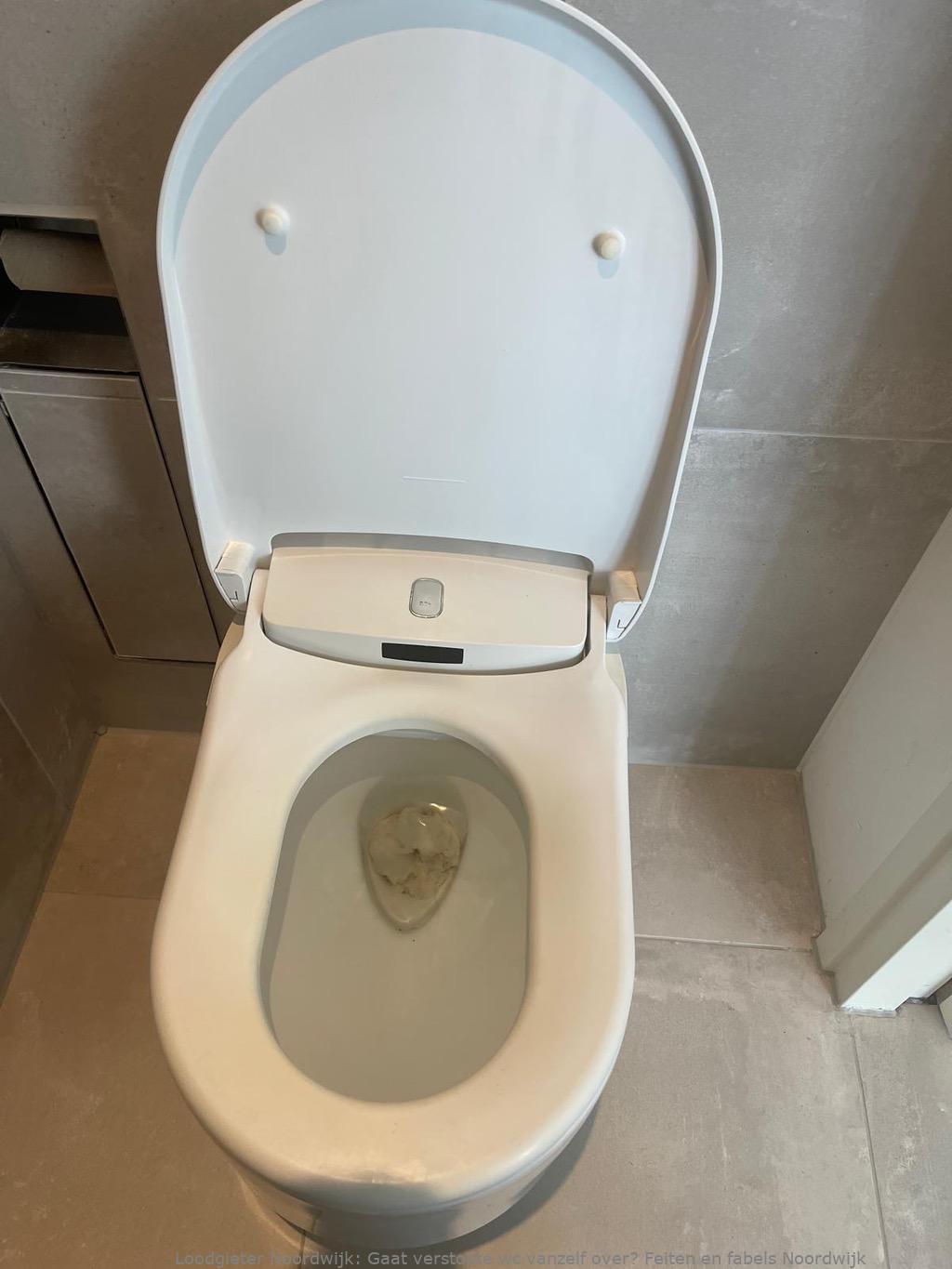 Herken Verstopte Wc Noordwijk 1