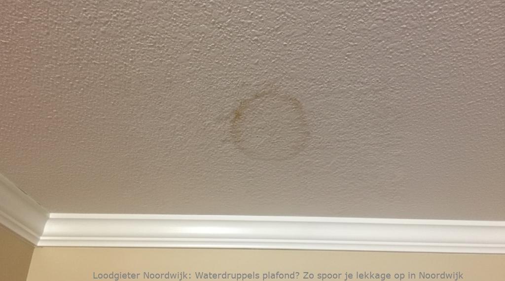 Lekkage Plafond Noordwijk