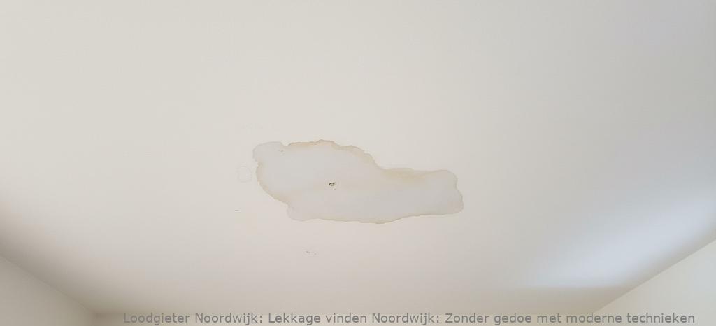 Lekkage Vinden Noordwijk
