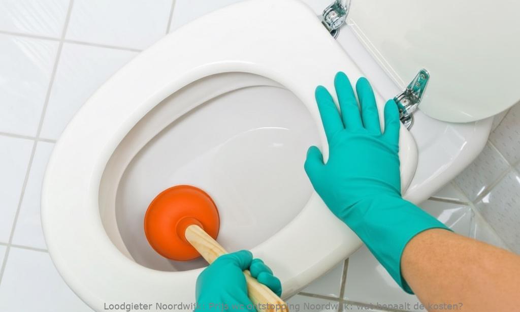Prijs Wc Ontstopping Noordwijk