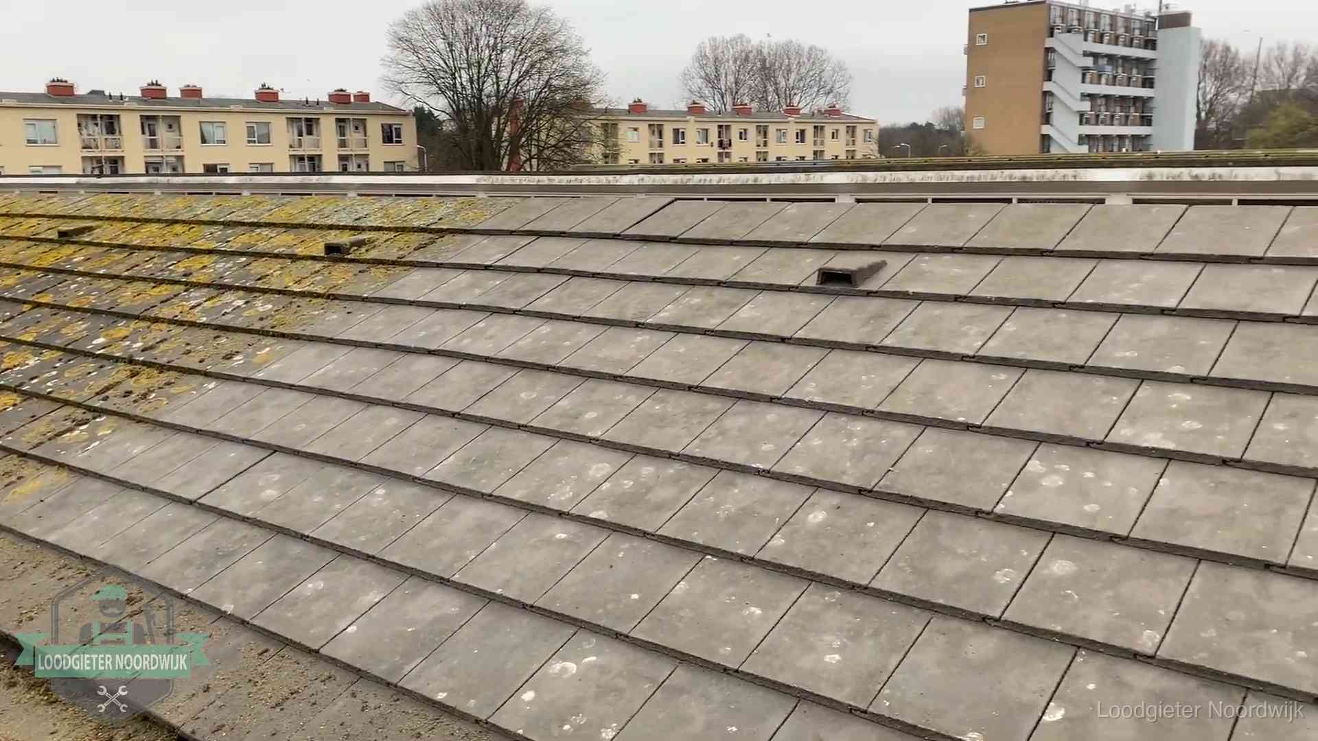 Dakpannen op een schuin dak in Noordwijk Schuin dak met betonpannen vol mos in Noordwijk, een risico op lekkage bij de pannen