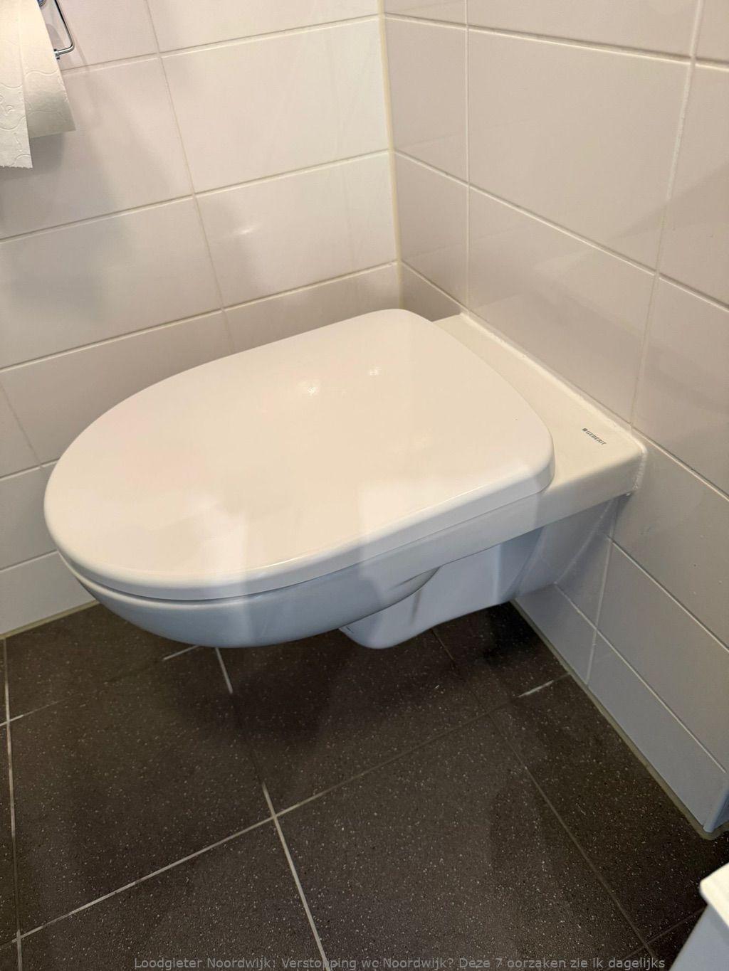 Tips Wc Verstopping Voorkomen Noordwijk