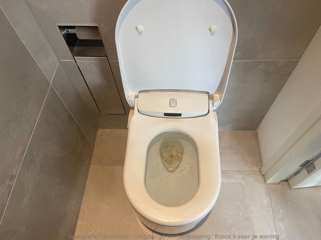 Toilet Verstopping Noordwijk