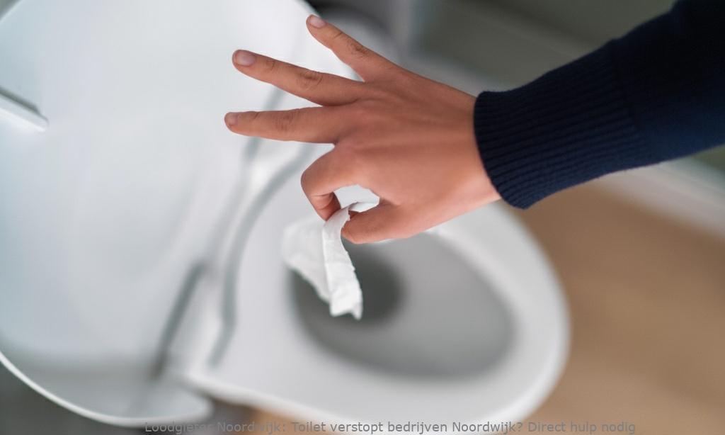 Toilet Verstopt Bedrijven Noordwijk