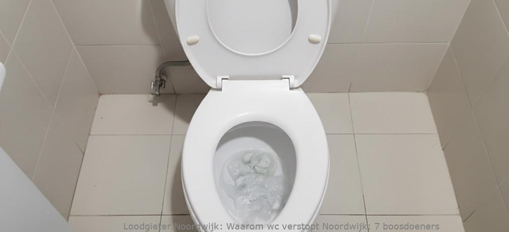 Waarom Wc Verstopt Noordwijk