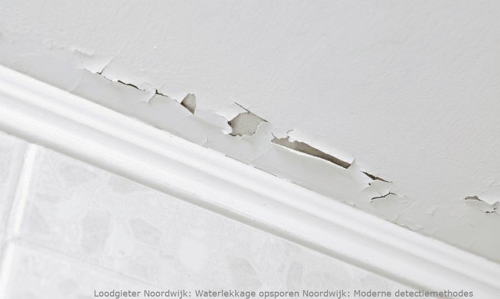 Waterlekkage Opsporen Noordwijk